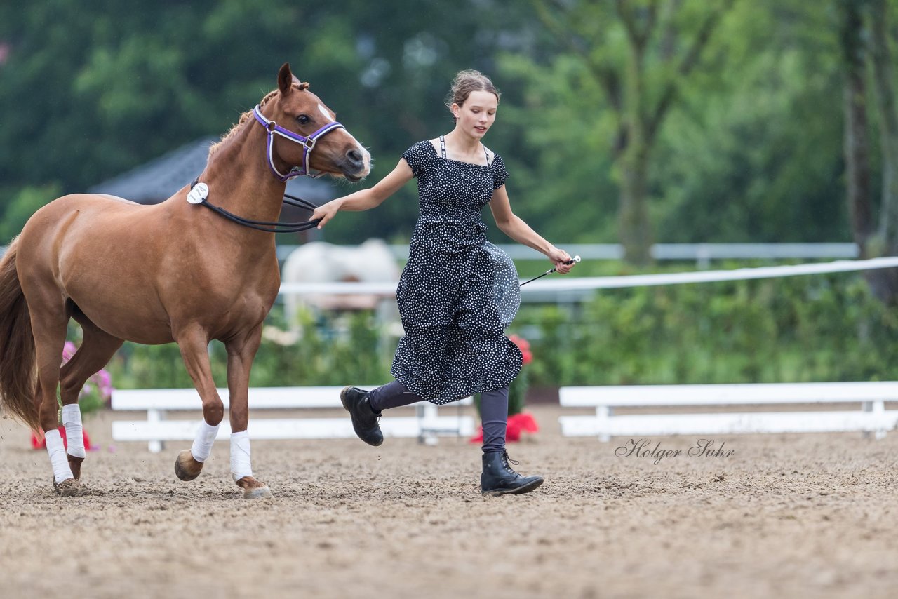 Bild 141 - Pony Akademie Turnier